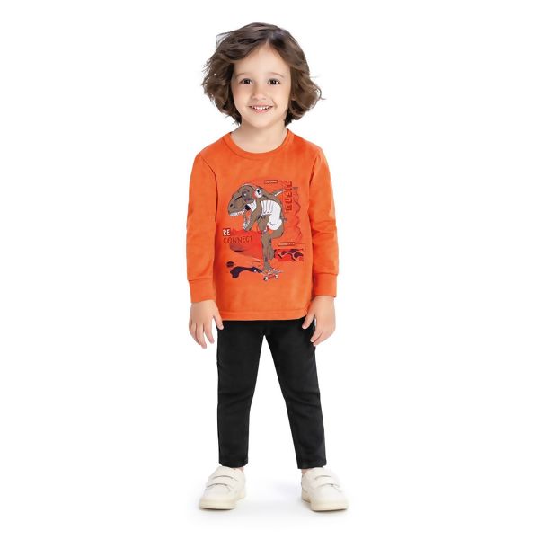 Camiseta Infantil Menino Manga Longa Dinossauro Elian  221408